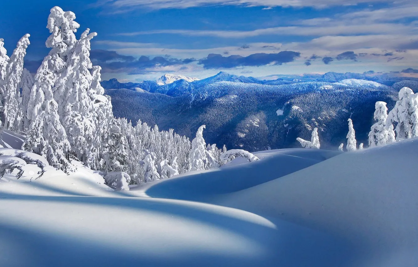 Photo wallpaper winter, forest, the sky, clouds, snow, trees, landscape, mountains