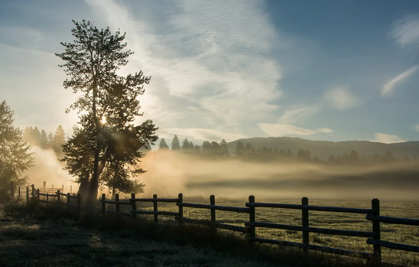 Photo wallpaper landscape, fog, the fence, morning