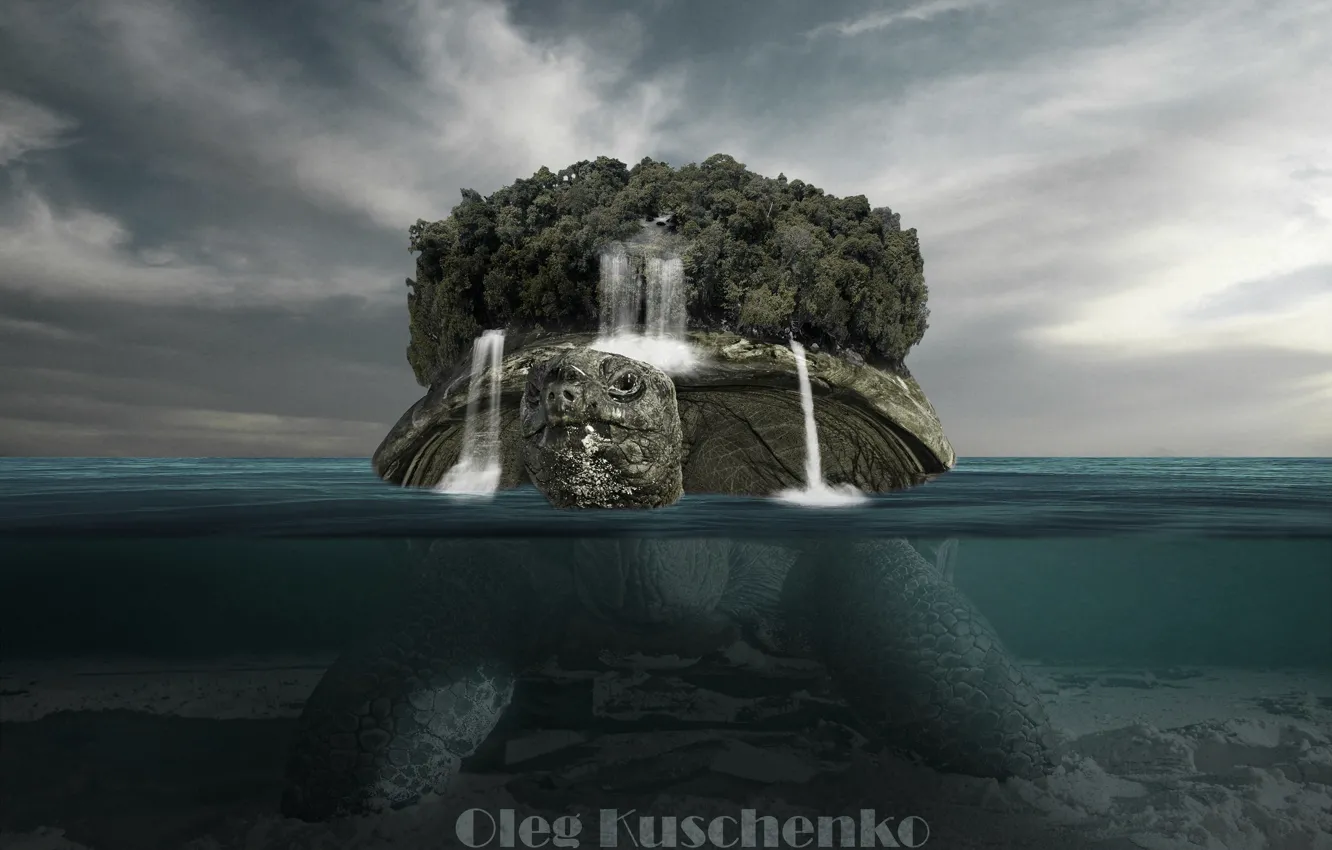 Photo wallpaper sea, forest, Turtle, forest, sea, turtle, Oleg Kuschenko
