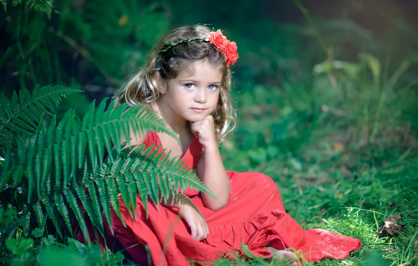 Photo wallpaper look, flowers, nature, girl