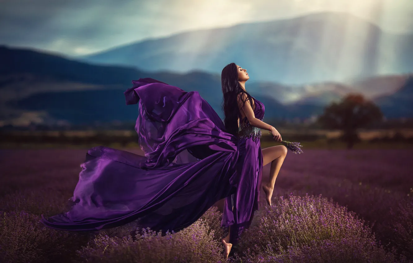 Photo wallpaper field, purple, girl, dress, lavender