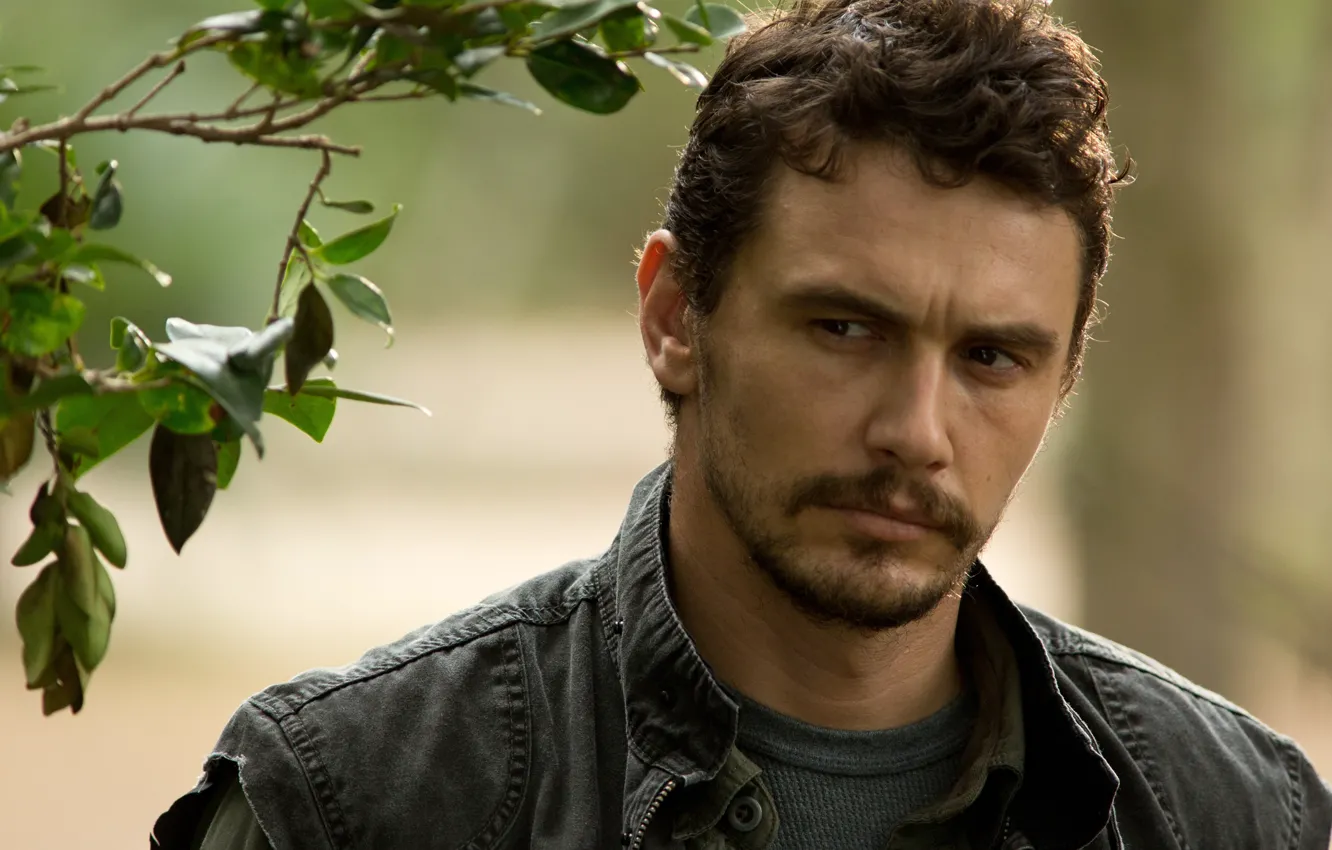 Photo wallpaper look, leaves, branch, frame, actor, Homefront, James Franco, James Franco