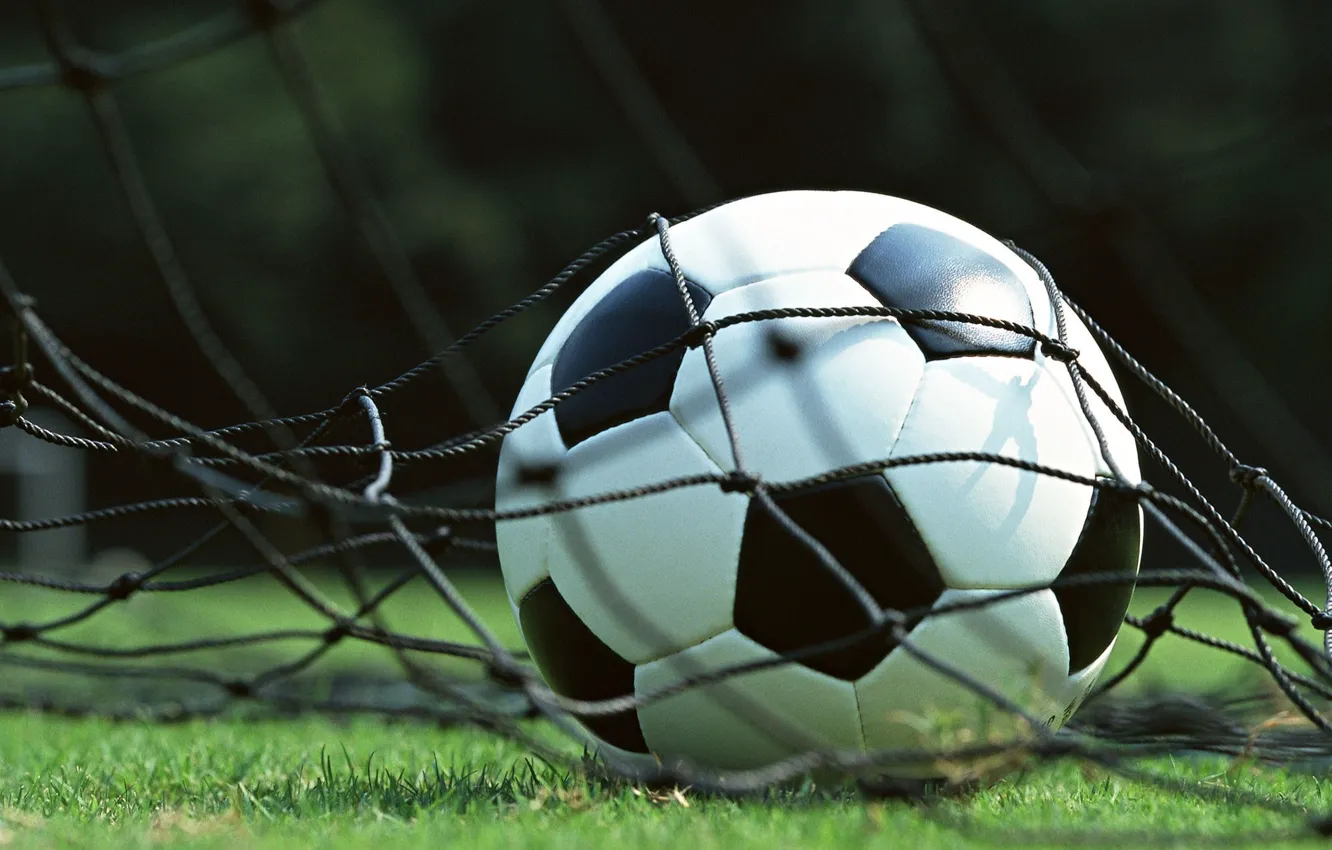 Photo wallpaper mesh, lawn, football, the ball, gate