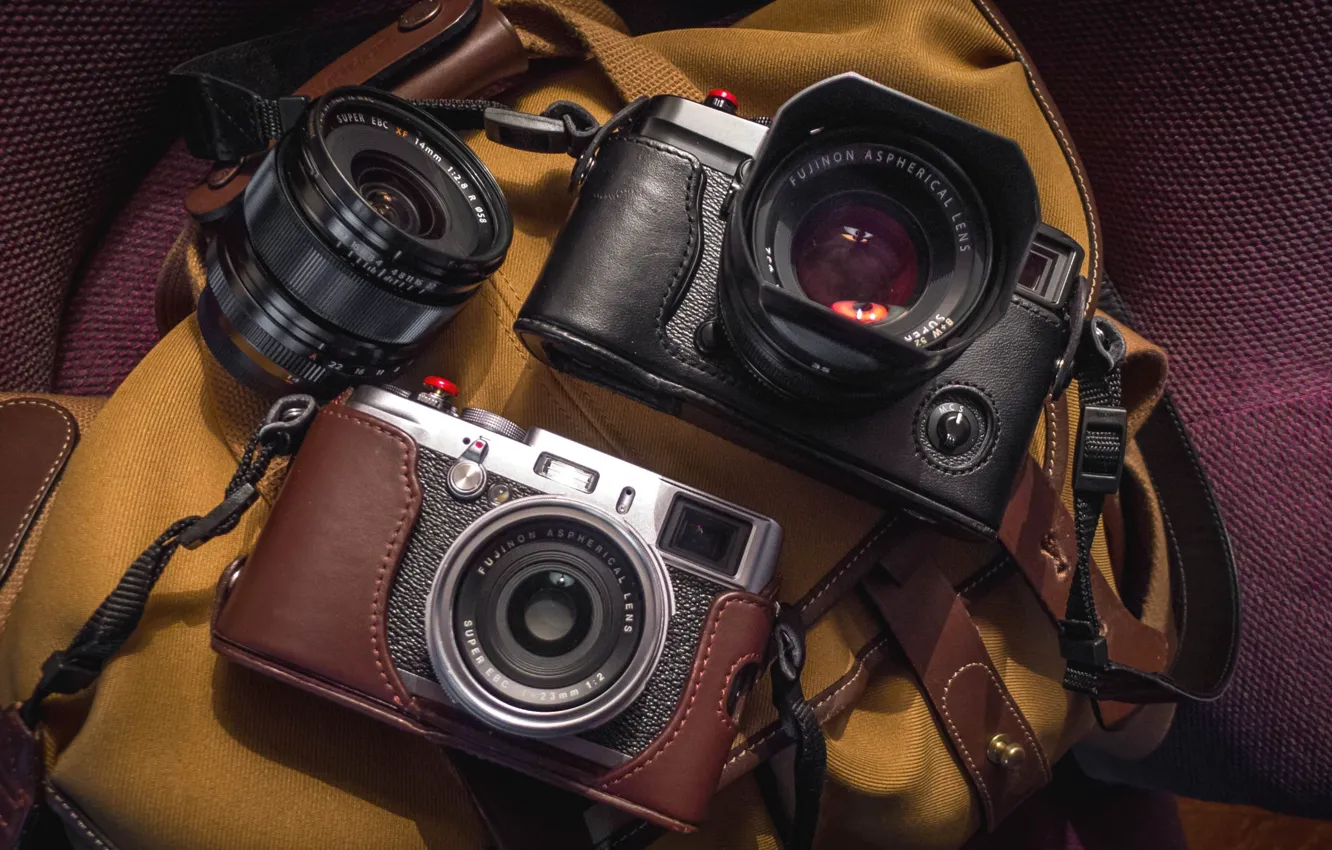 Photo wallpaper macro, background, camera