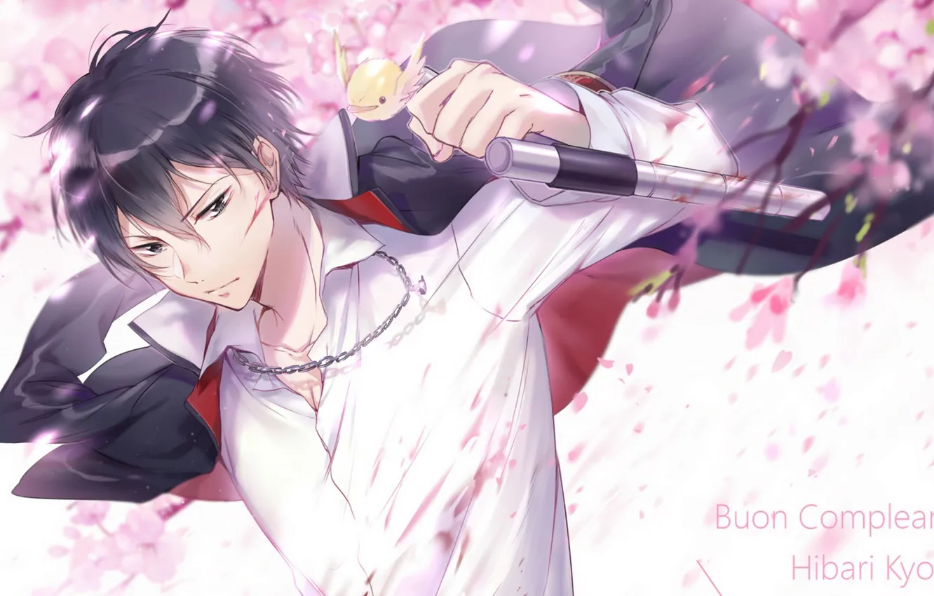 Photo wallpaper look, anime, art, guy, bird, Katekyo Hitman REBORN!, Hibari Kyoya, copy