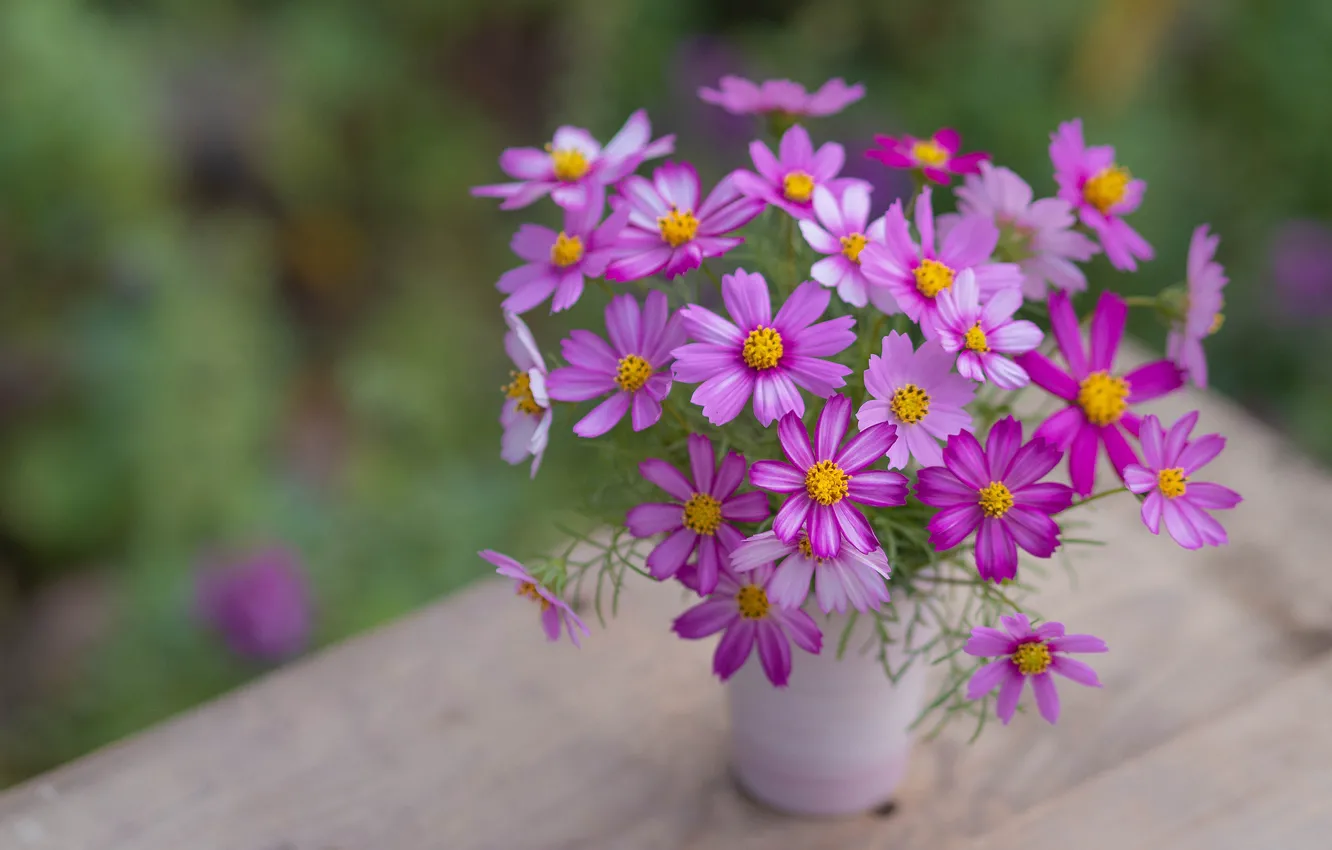 Photo wallpaper space, a bunch, kosmeya