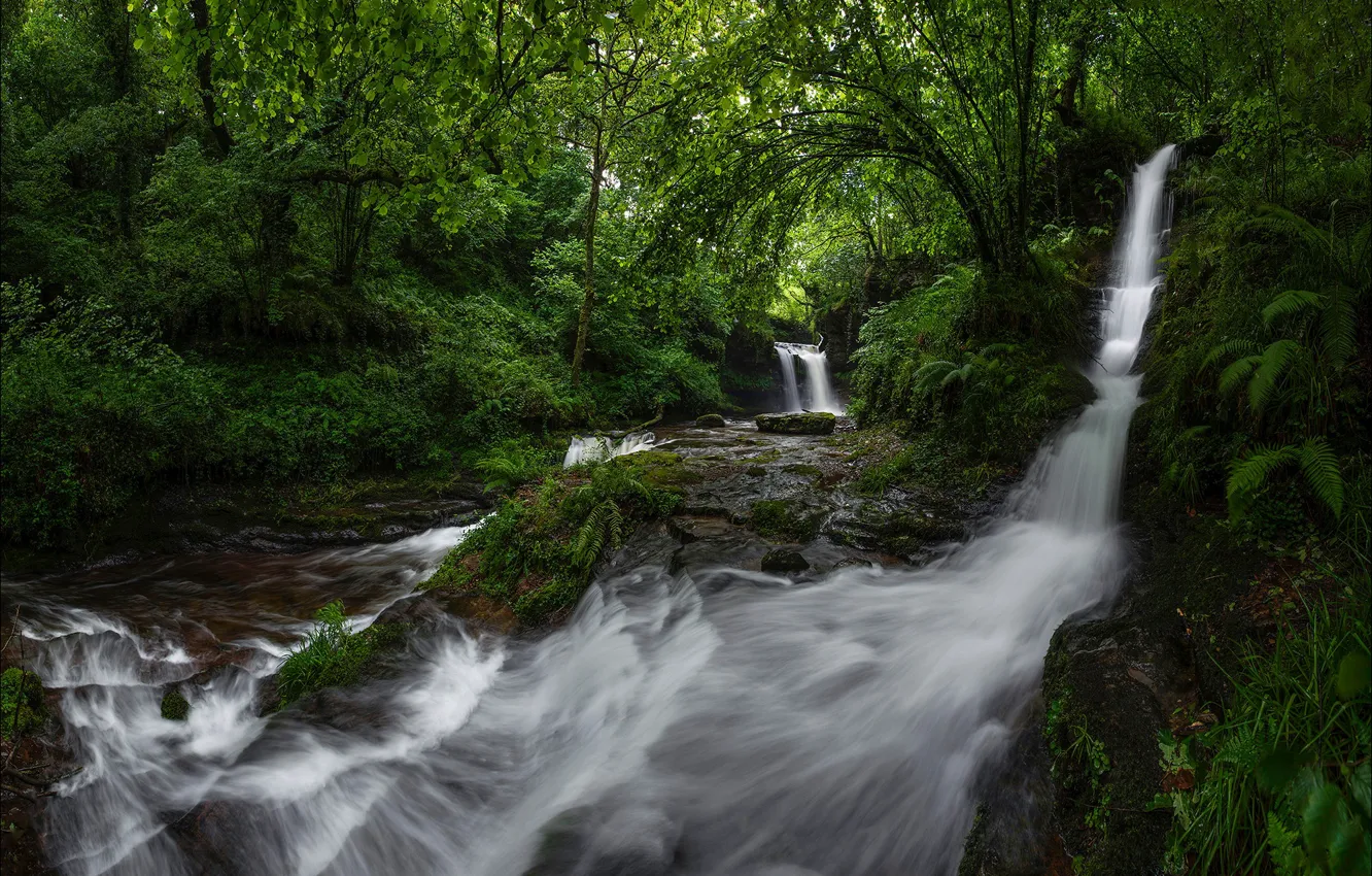 Photo wallpaper forest, river, waterfall, cascade