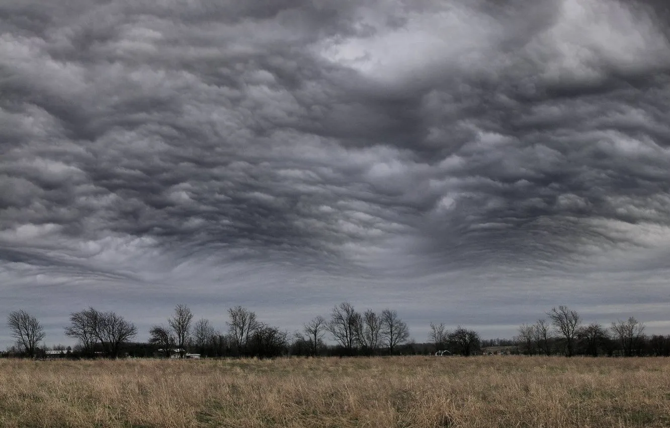 Photo wallpaper field, Clouds, storm