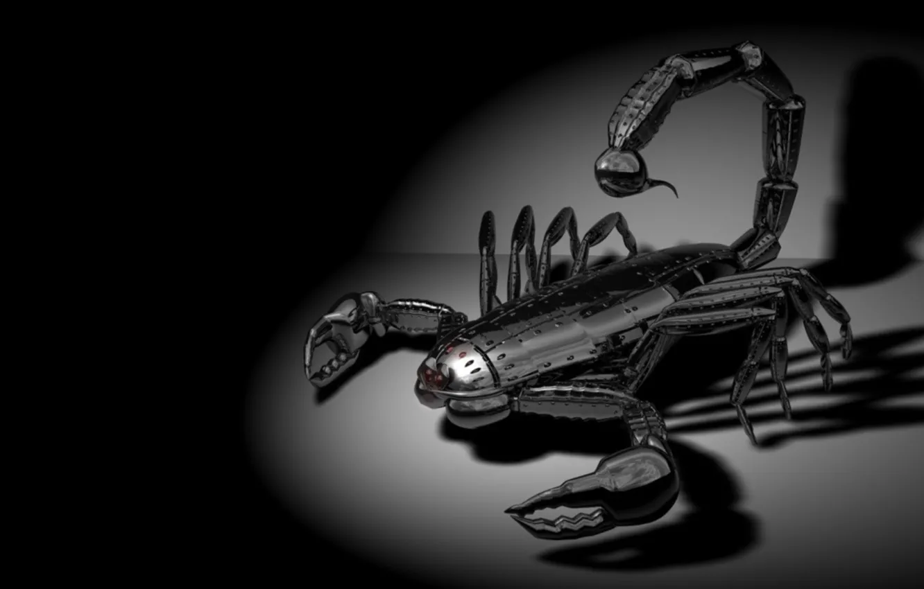 Photo wallpaper shadow, Scorpio, black background, cyborg, sting, poisonous, mechanical