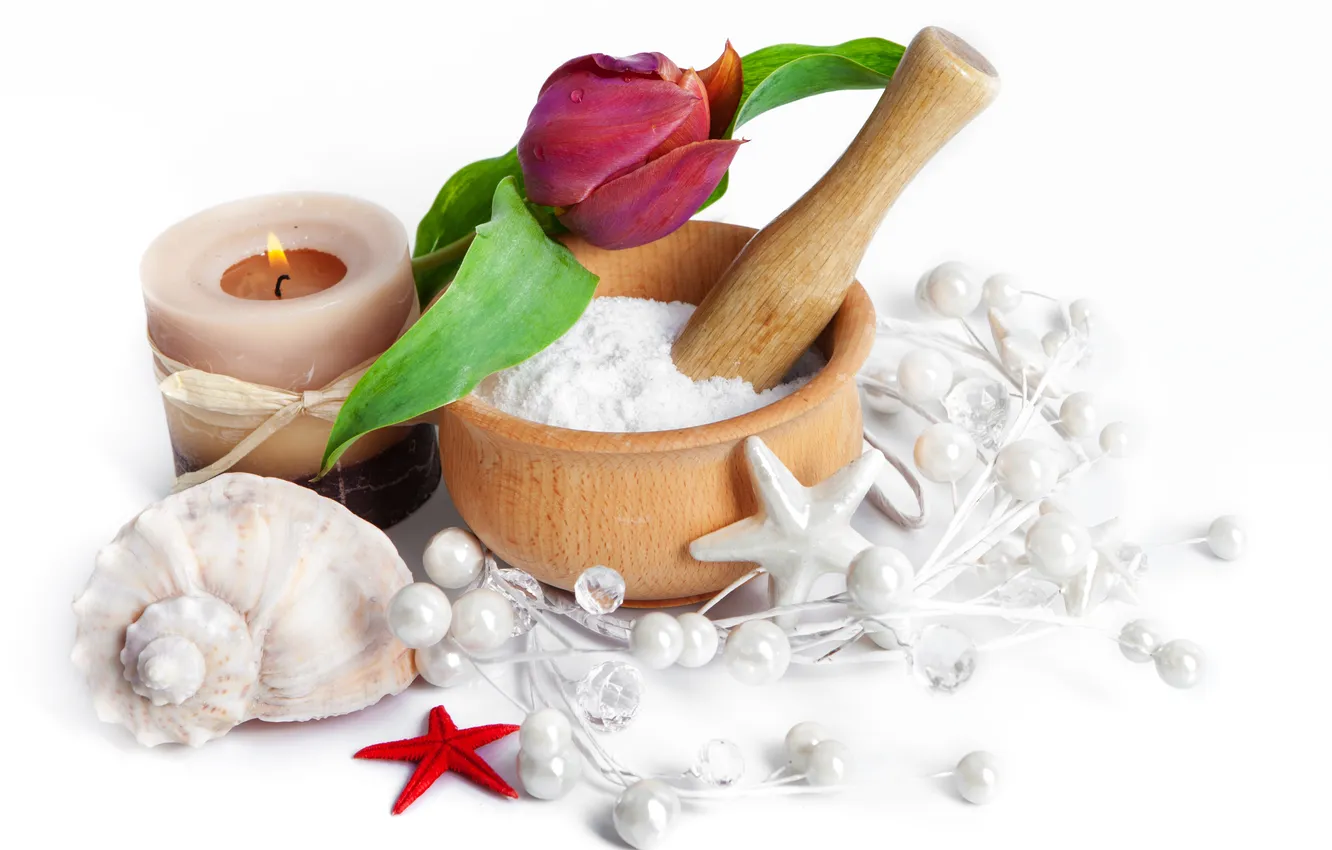 Photo wallpaper drops, flowers, Tulip, candles, spa, shells, seashells