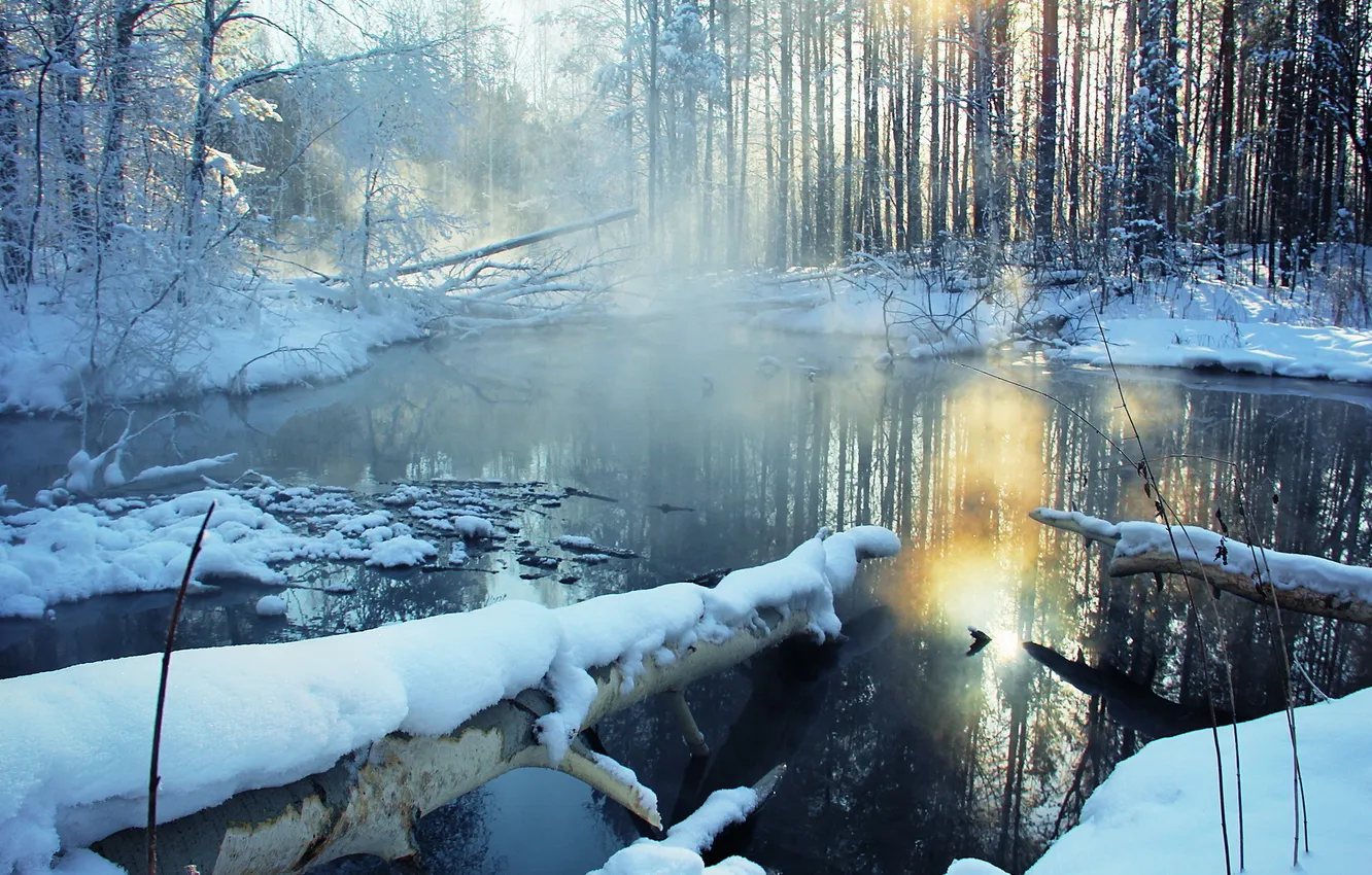 Photo wallpaper winter, forest, snow, nature, river