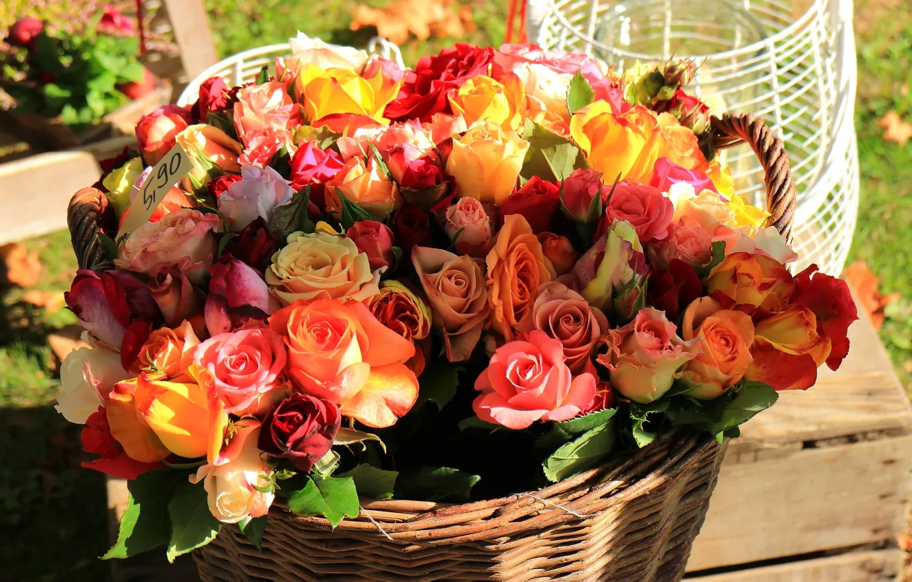Photo wallpaper basket, roses, bouquet, buds, a lot
