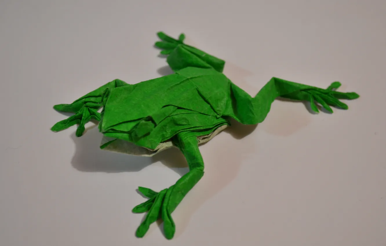 Photo wallpaper background, frog, green, origami