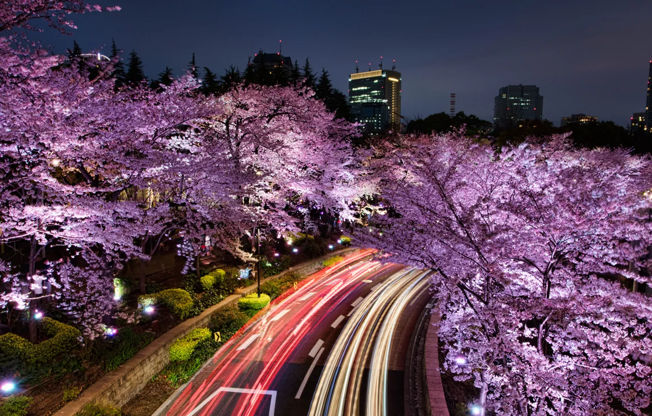 Photo wallpaper road, the sky, light, trees, night, the city, lights, movement