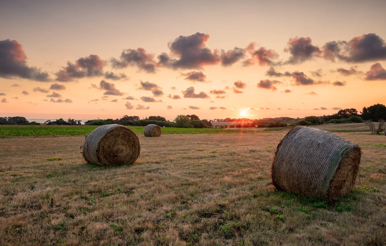 Photo wallpaper field, the sun, clouds, rays, sunset, dal, hay, bales