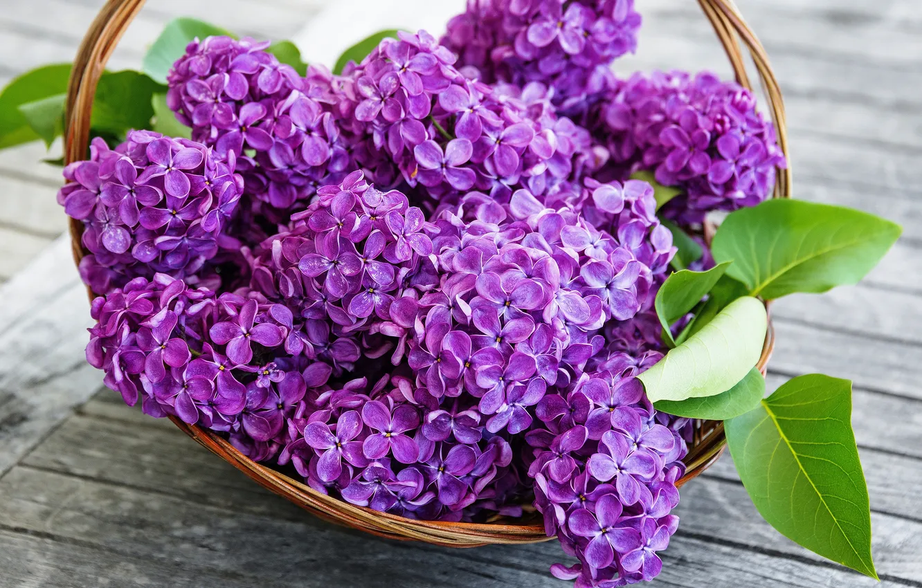 Photo wallpaper leaves, flowers, table, Board, bouquet, spring, basket, flowering