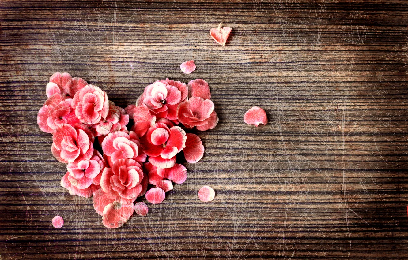 Photo wallpaper heart, petals, scratches, vintage, vintage
