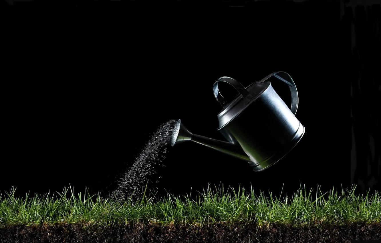 Photo wallpaper grass, water, drops, squirt, green, background, black, lake