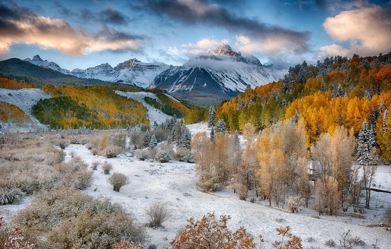 Photo wallpaper autumn, forest, snow, trees, mountains, valley
