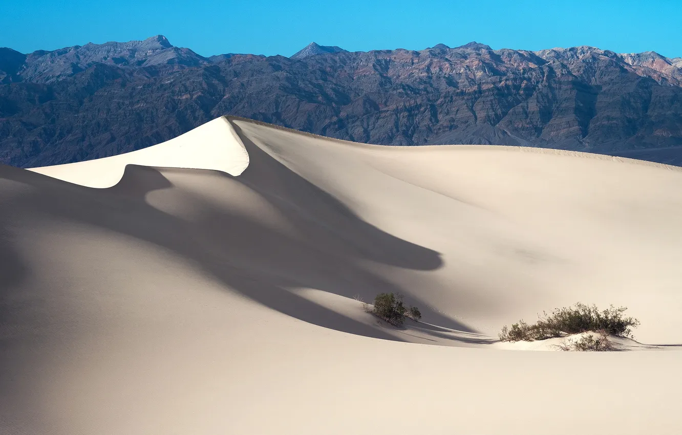 Photo wallpaper sand, greens, mountains, the dunes, rocks, pustina