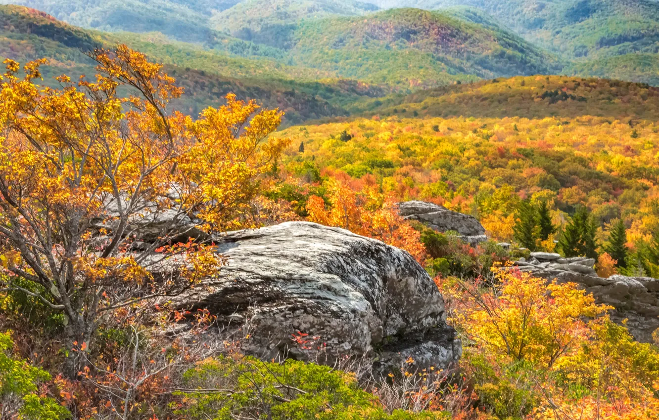 Photo wallpaper autumn, trees, mountains, rocks