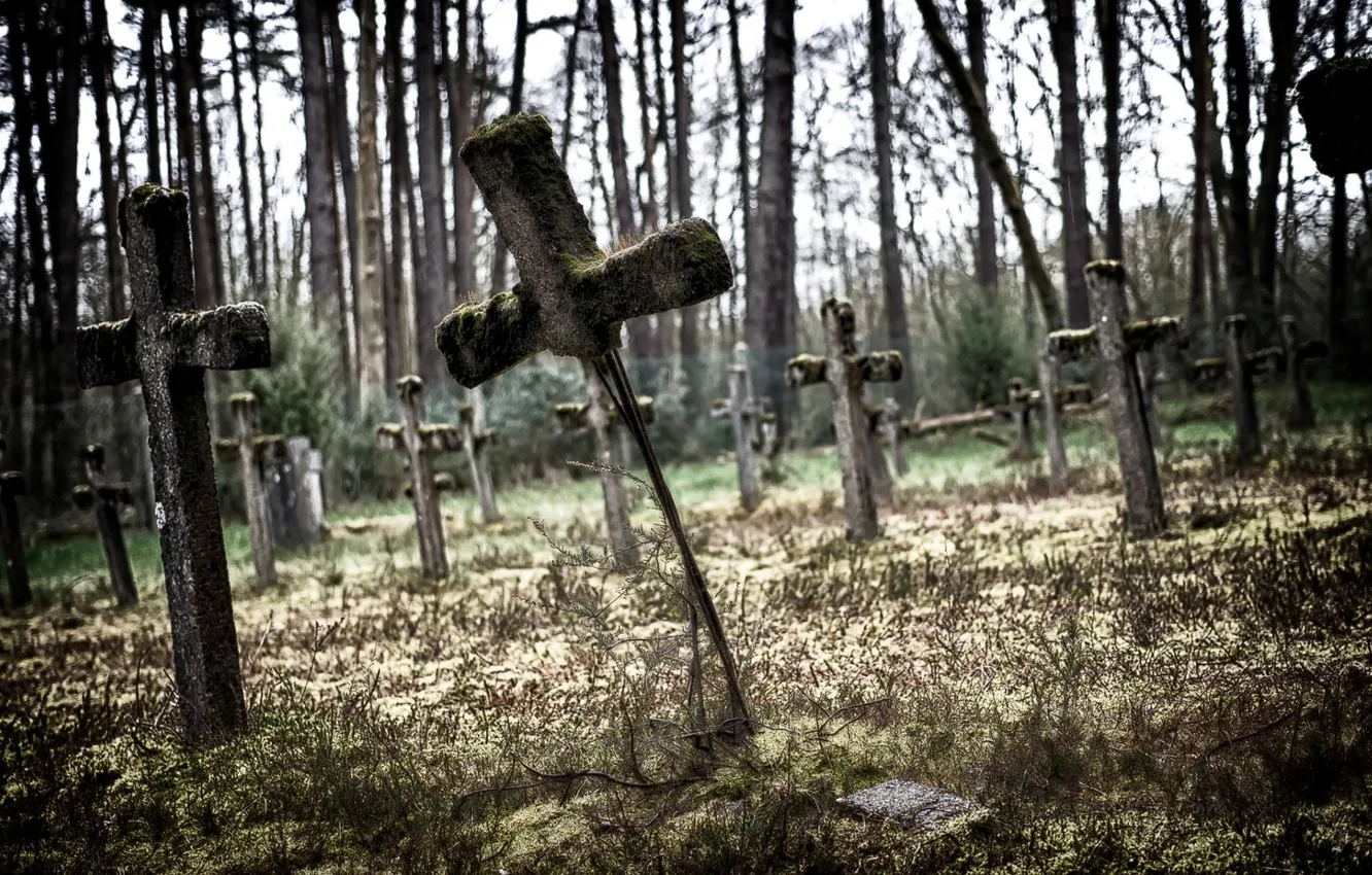 Photo wallpaper background, cross, cemetery