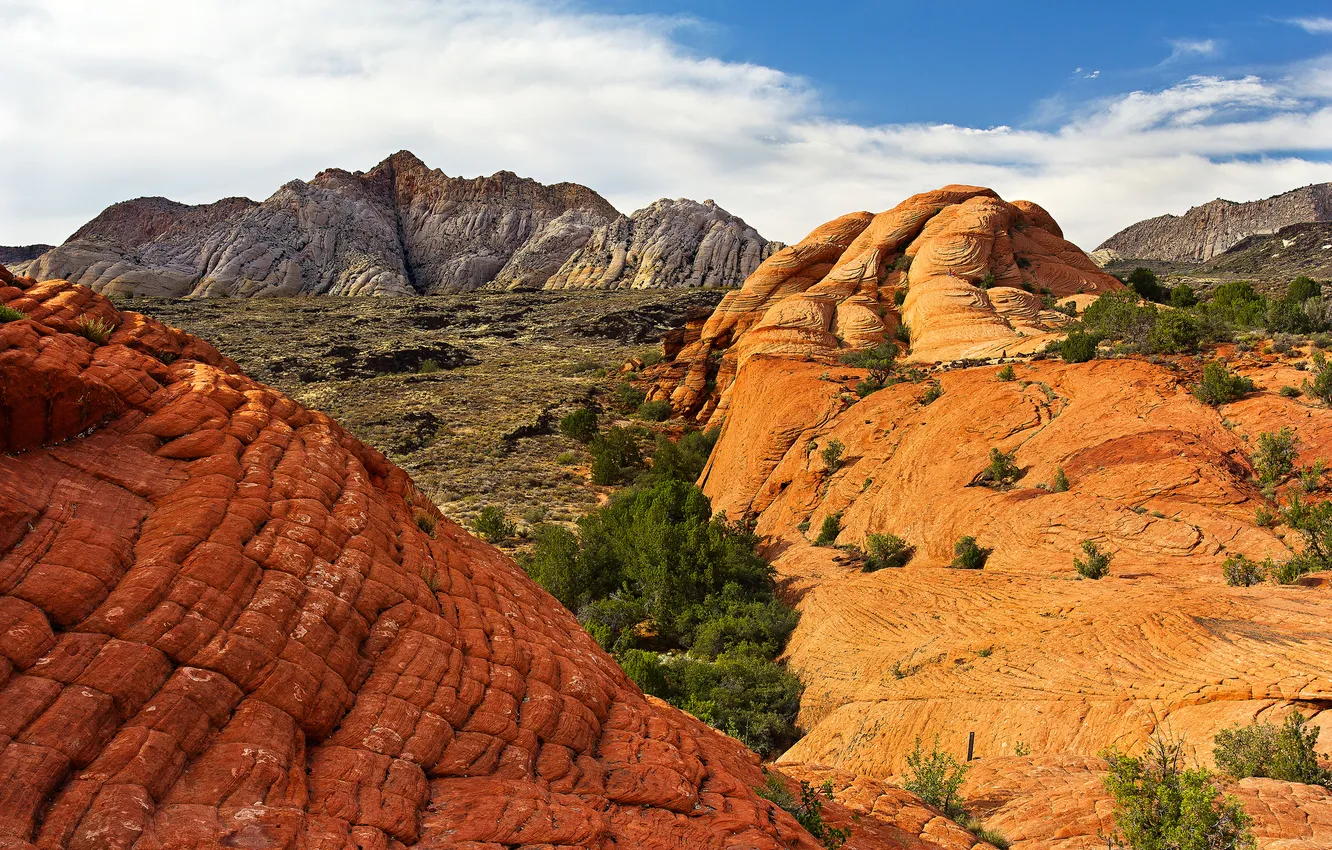 Photo wallpaper the sky, clouds, trees, mountains, rocks