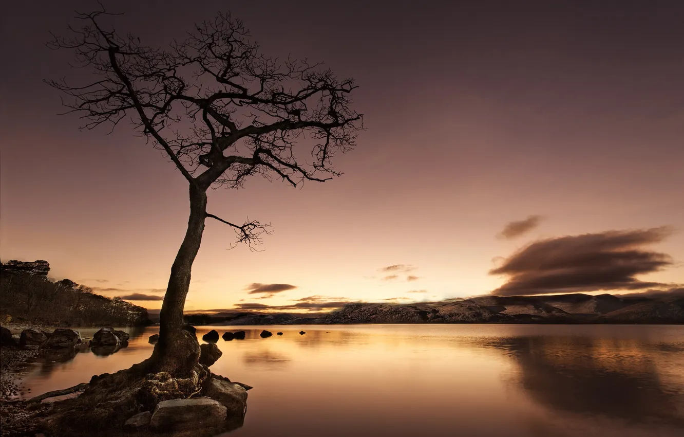 Photo wallpaper the sky, clouds, trees, mountains, lake, glow