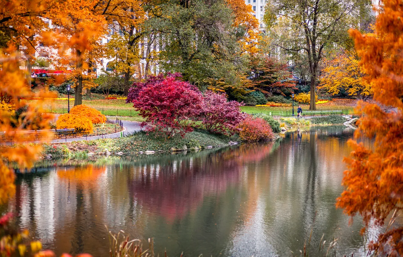 Photo wallpaper autumn, the city, Park, skyscrapers, USA, USA, America, New York