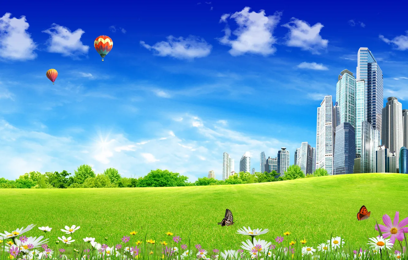 Photo wallpaper nature, butterfly, home