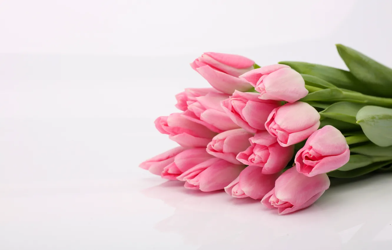 Photo wallpaper flowers, bouquet, tulips, pink