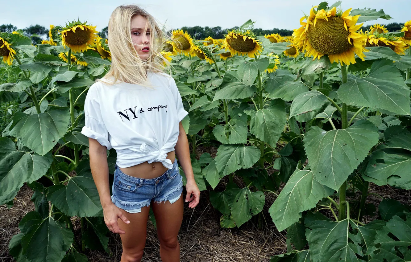 Photo wallpaper summer, girl, sunflowers