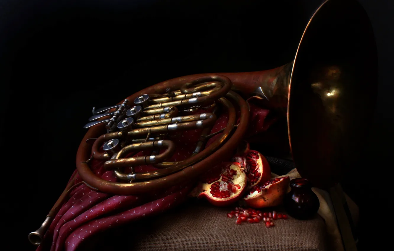 Photo wallpaper music, French horn, Pomegranates