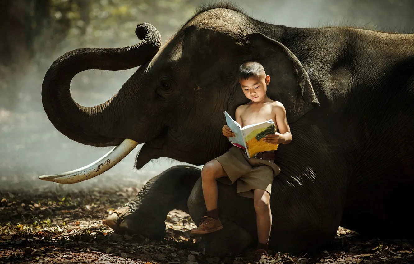 Photo wallpaper Thailand, nature, people, man