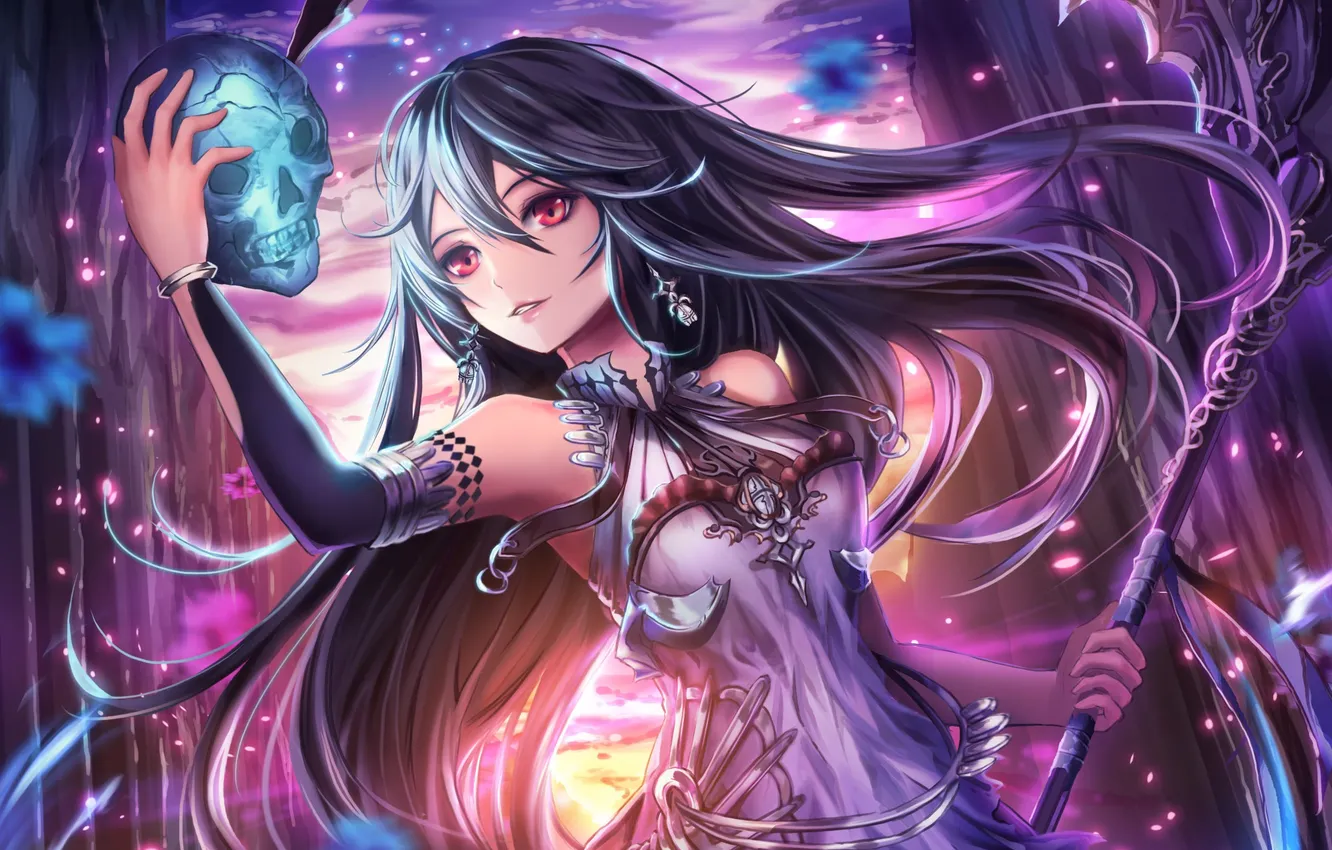Photo wallpaper the sky, girl, clouds, sunset, flowers, weapons, magic, skull