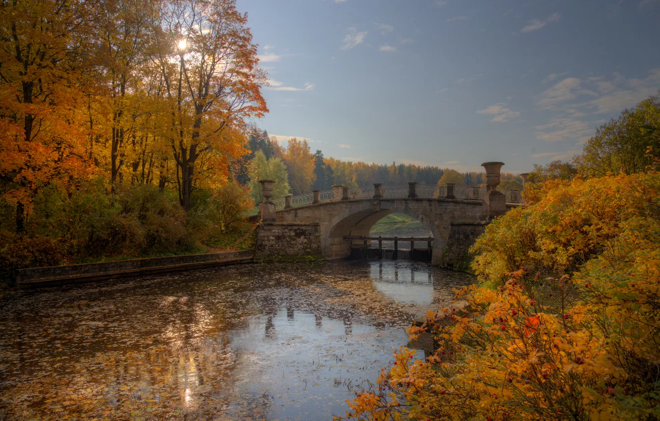 Photo wallpaper autumn, the sky, trees, bridge, nature, river, photo, Russia