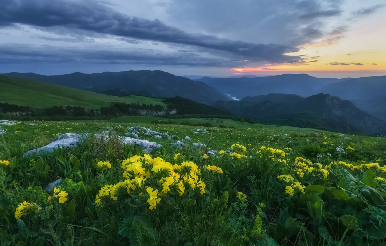 Photo wallpaper grass, landscape, flowers, mountains, nature, stones, morning, meadow