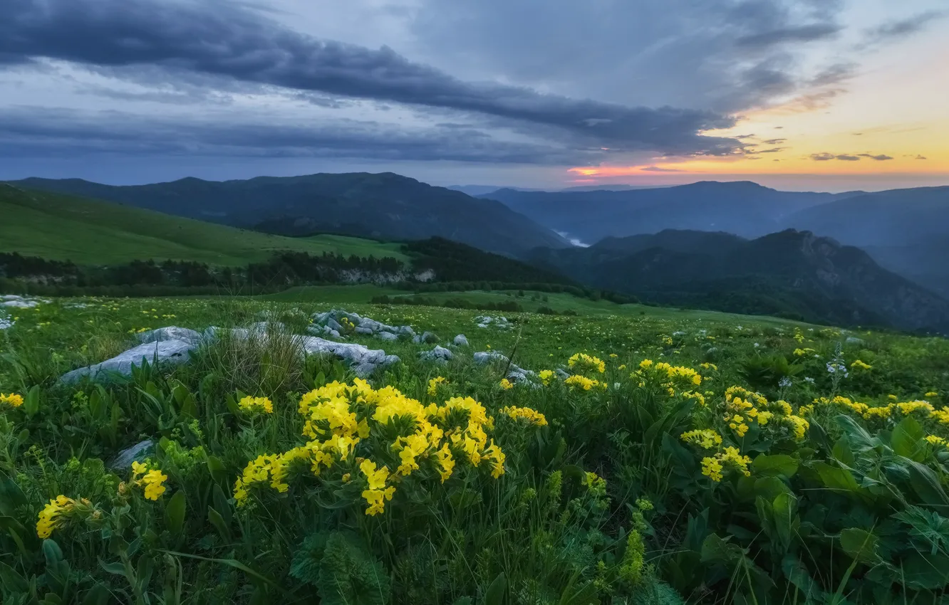 Photo wallpaper grass, landscape, flowers, mountains, nature, stones, morning, The Caucasus