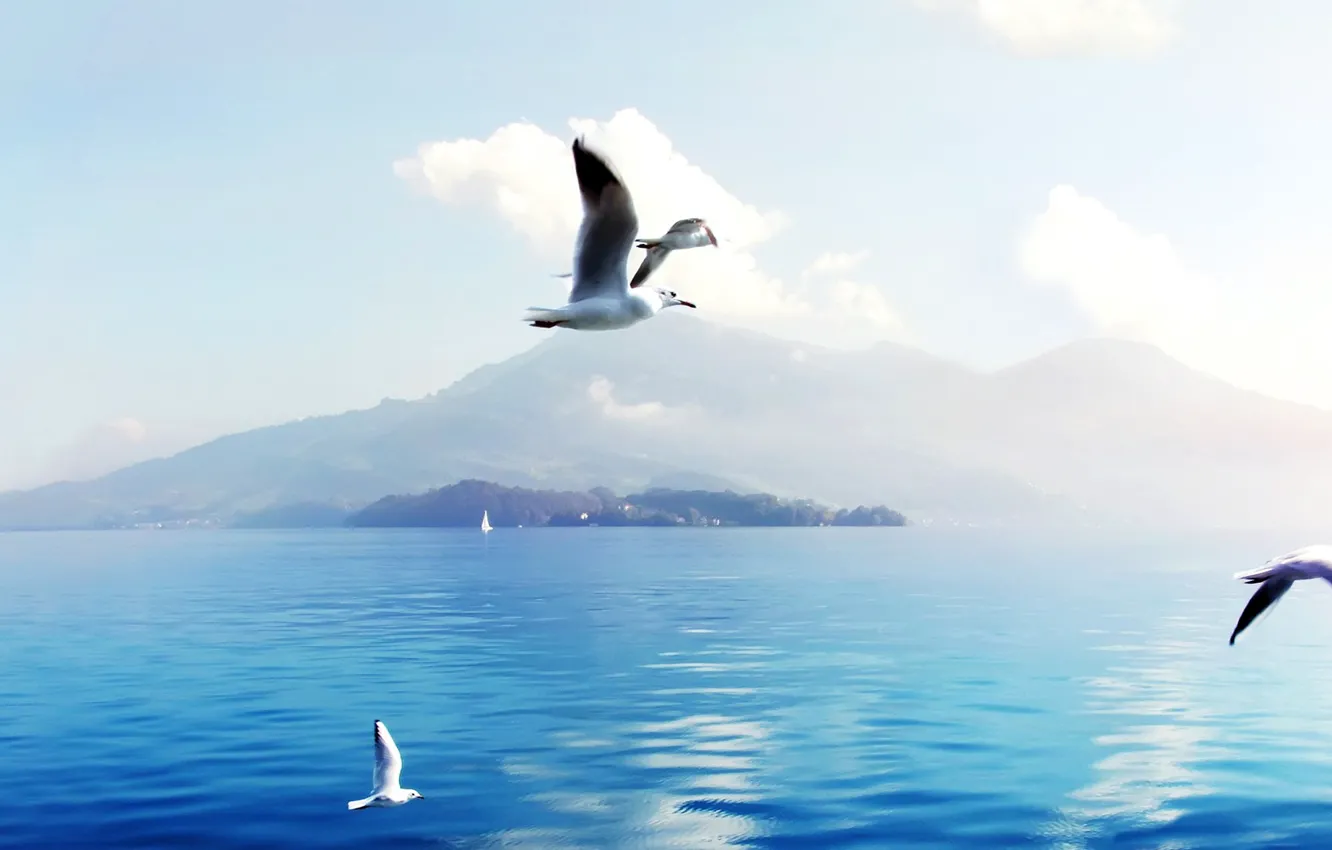Photo wallpaper sea, the sky, water, clouds, surface, flight, mountains, the ocean