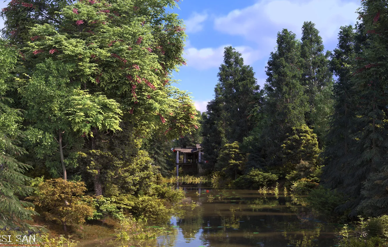 Photo wallpaper nature, vegetation, structure, pond, nature renders