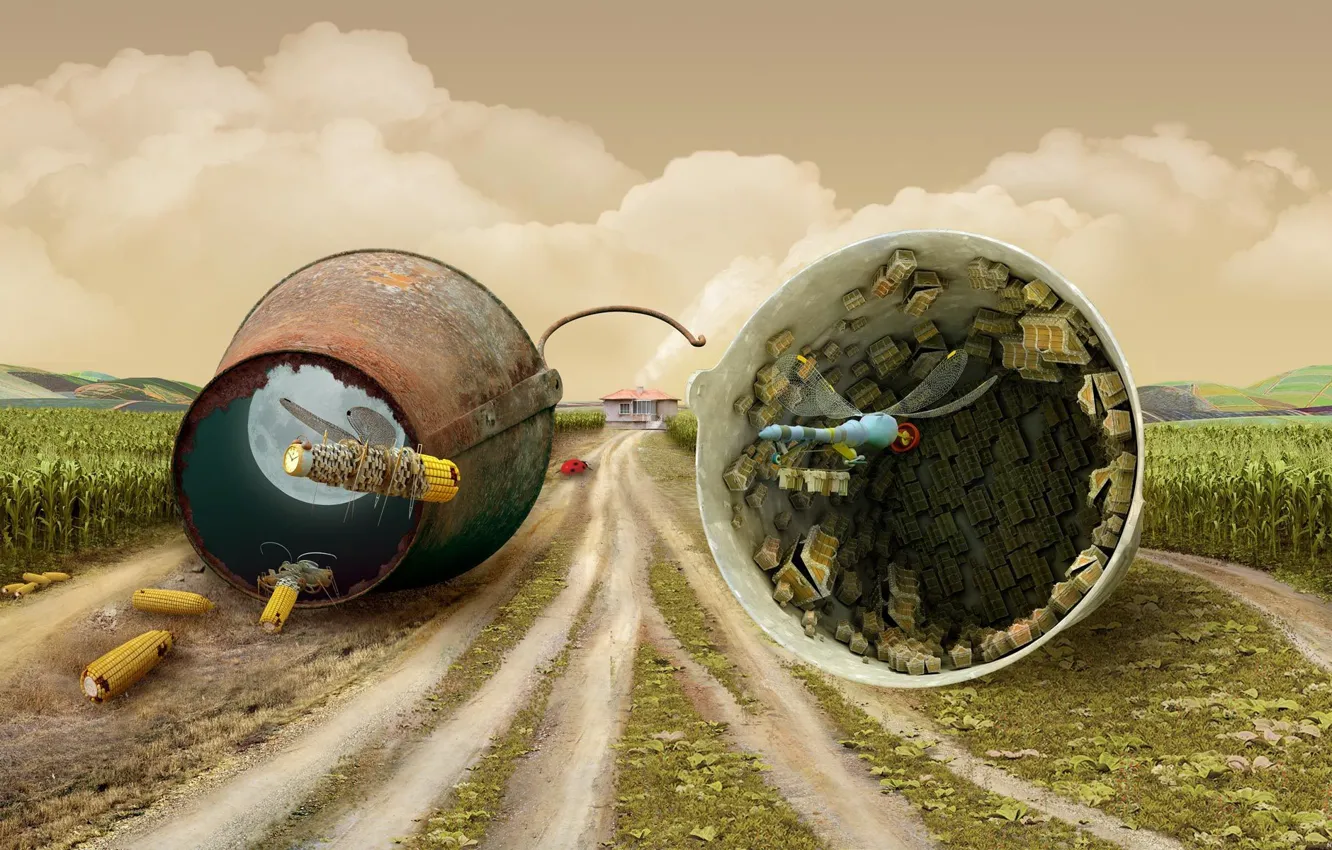 Photo wallpaper road, field, corn, dragonfly, bucket, chest