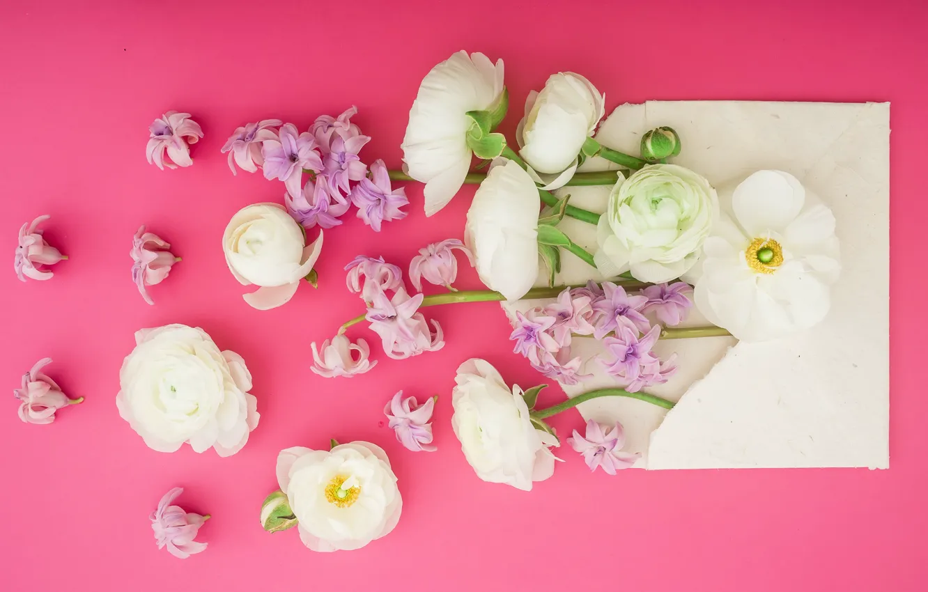 Photo wallpaper flowers, petals, pink, white, white, pink, flowers, composition