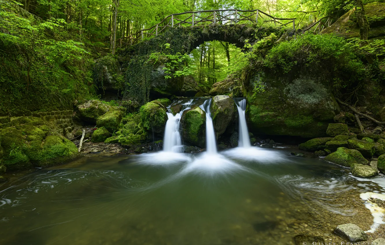 Photo wallpaper forest, bridge, river, stones, waterfall, moss, Luxembourg, Luxembourg