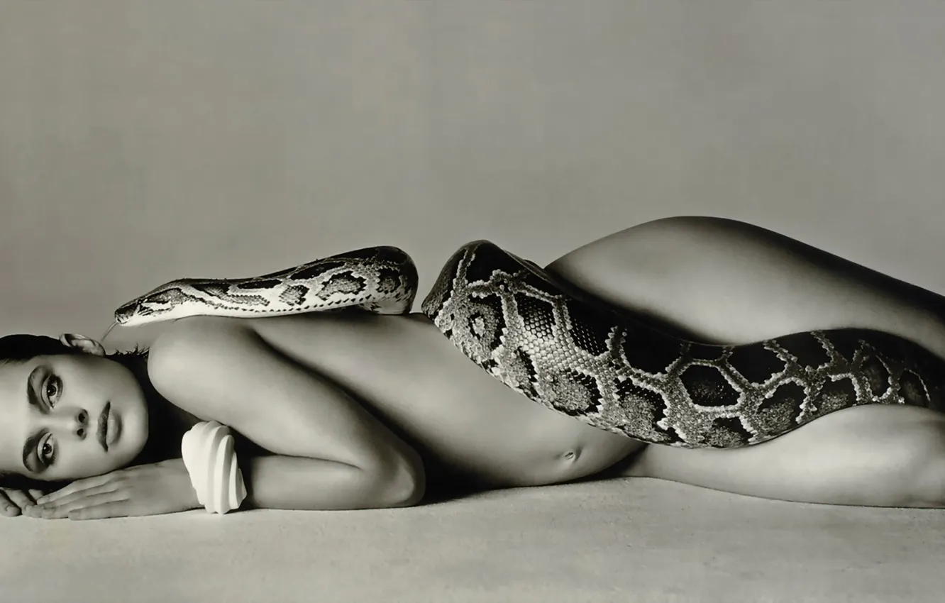 Photo wallpaper girl, snake, BW background, seduction