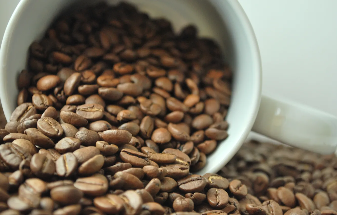 Photo wallpaper coffee, grain, mug, Cup