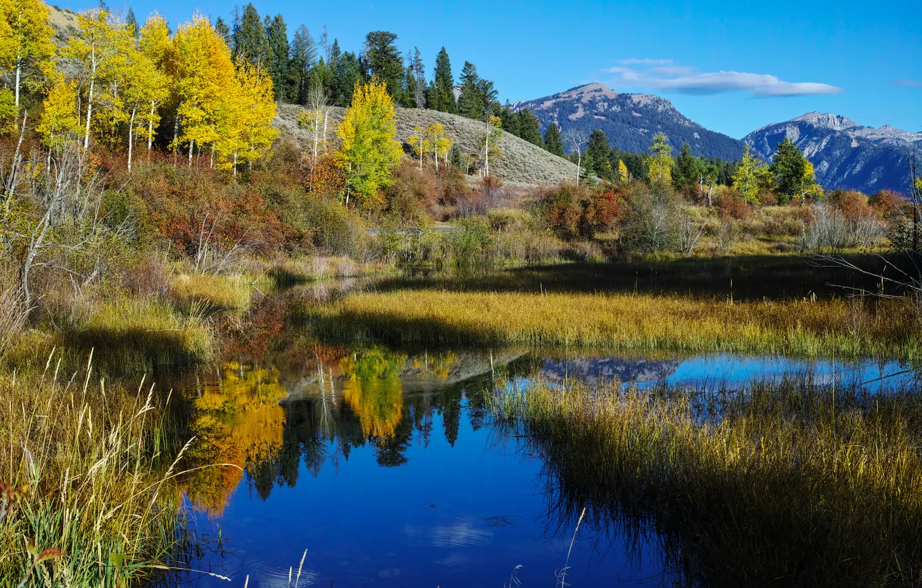Photo wallpaper autumn, the sky, trees, mountains, lake, slope
