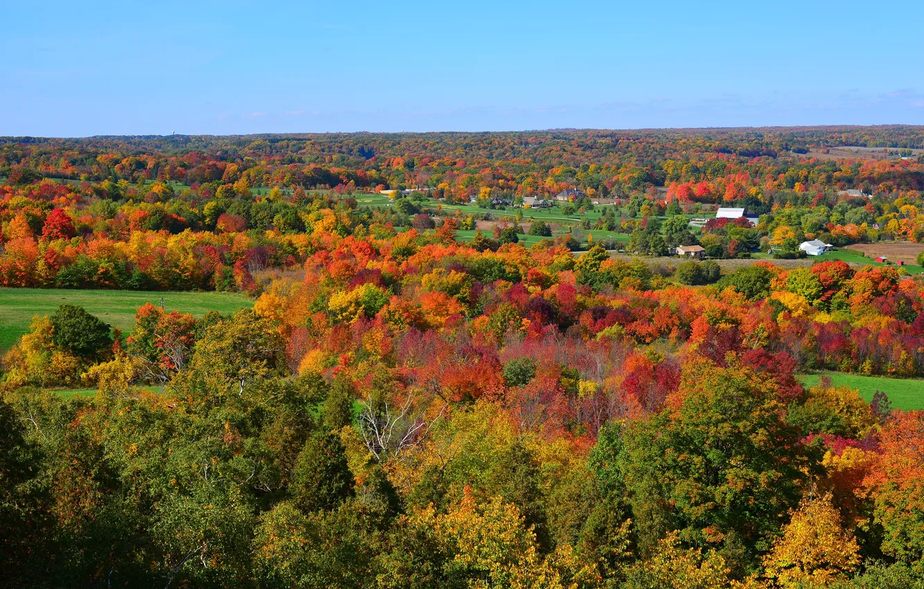 Photo wallpaper field, autumn, the sky, trees, home