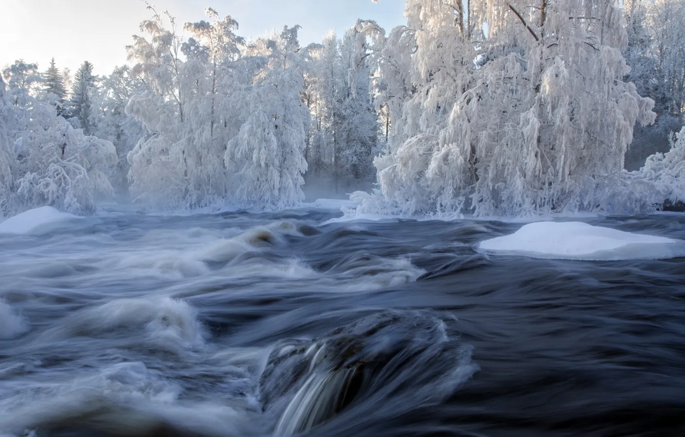 Photo wallpaper snow, nature, river, stream, winter.trees