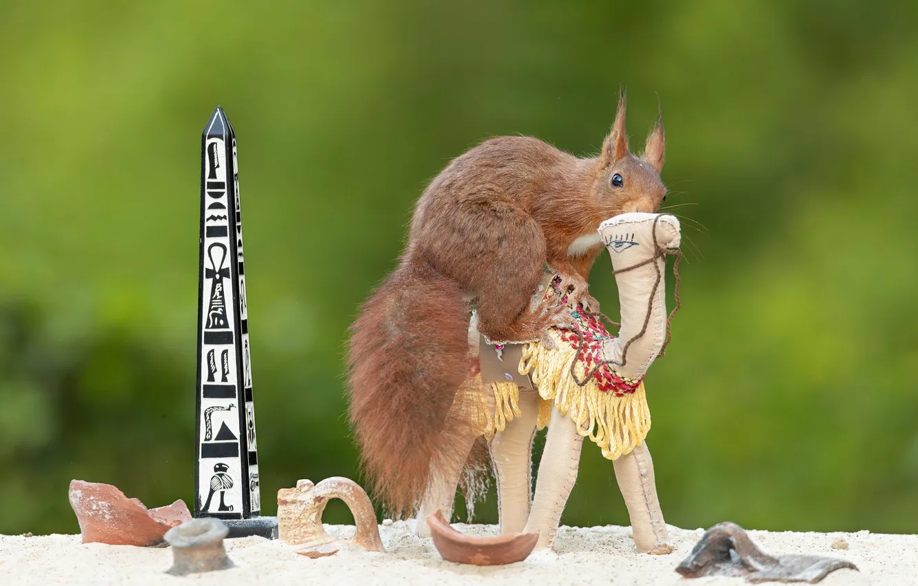 Photo wallpaper sand, artifact, toy, protein, camel, symbol, red, the scenery