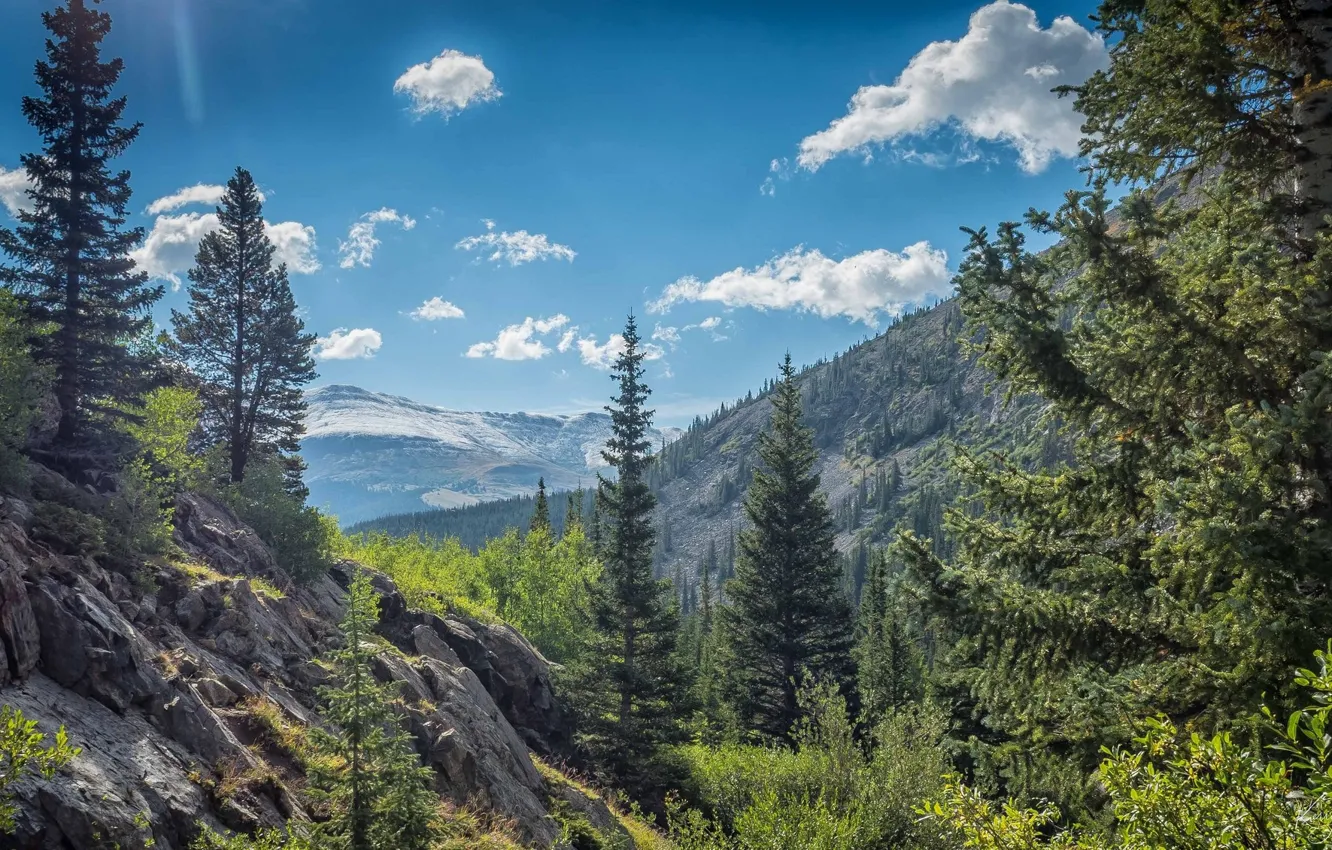 Photo wallpaper the sky, mountains, tree